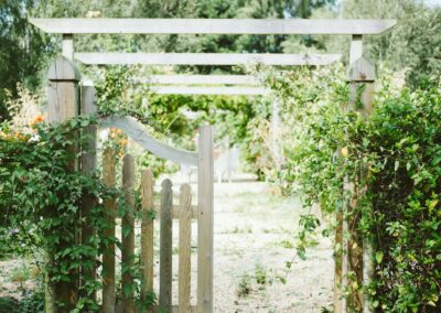 Clôture en bois couverte de vigne (photo d'illustration)